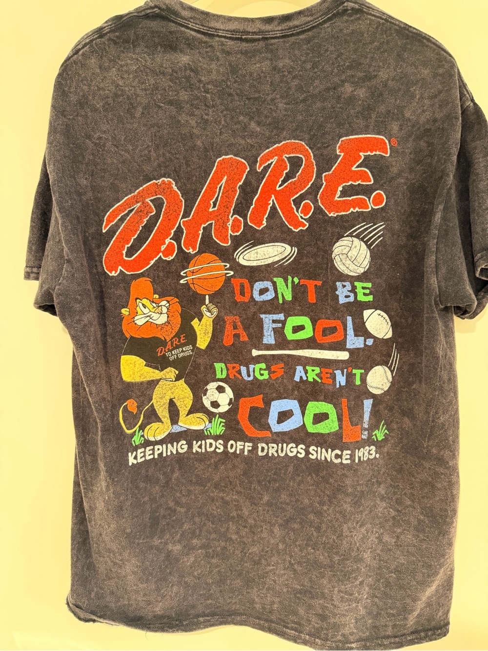 D.A.R.E. Short Sleeve Tee - Vintage Wash Gray - Picture 2 of 6